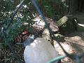 Zoo Cottbus 112